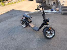 Elektro-Bike