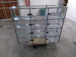 Glasvitrine für an die Wand von USM-Haller