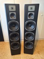 Lautsprecher Quadral Hurricane 170 W gebraucht