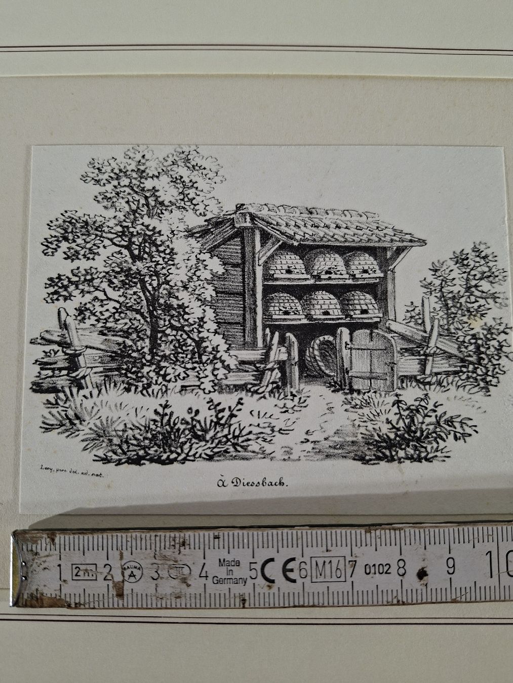 Incisioni: Lot 60 , 10 Stiche  – Usato da Grindelwald venduto da carro5 1