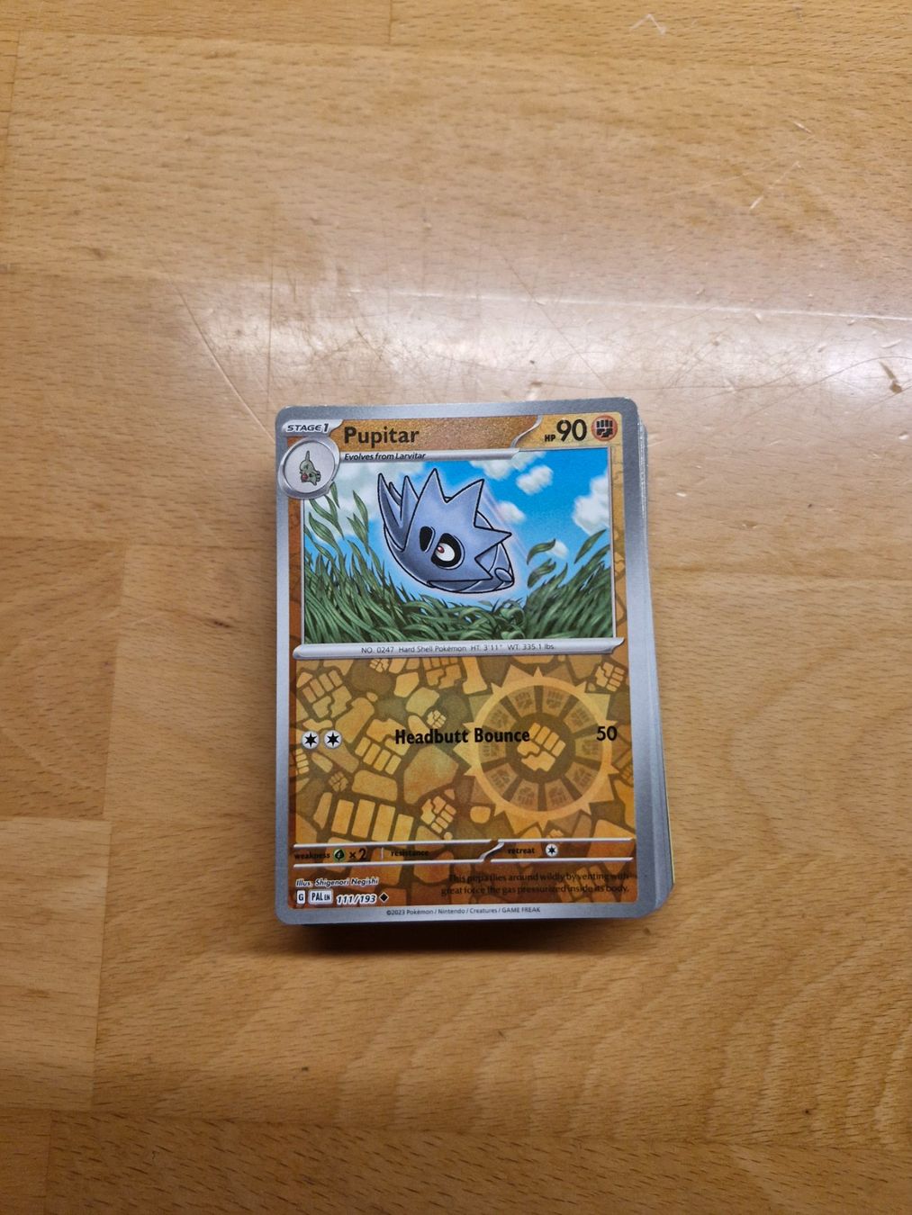 Pokémon Sammelbilder & Trading cards: Pokémon Karten Holo 50Stk – Gebraucht aus Worben von 88hco