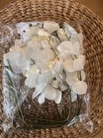 Künstliche Orchideen HinyoCo 5 Stück weiss neu verpackt