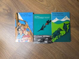 Bücherpaket Trio Jungendtaschenbücher (3 Stk)