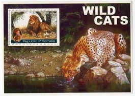 Block "Löwe & Gepard". Somalia