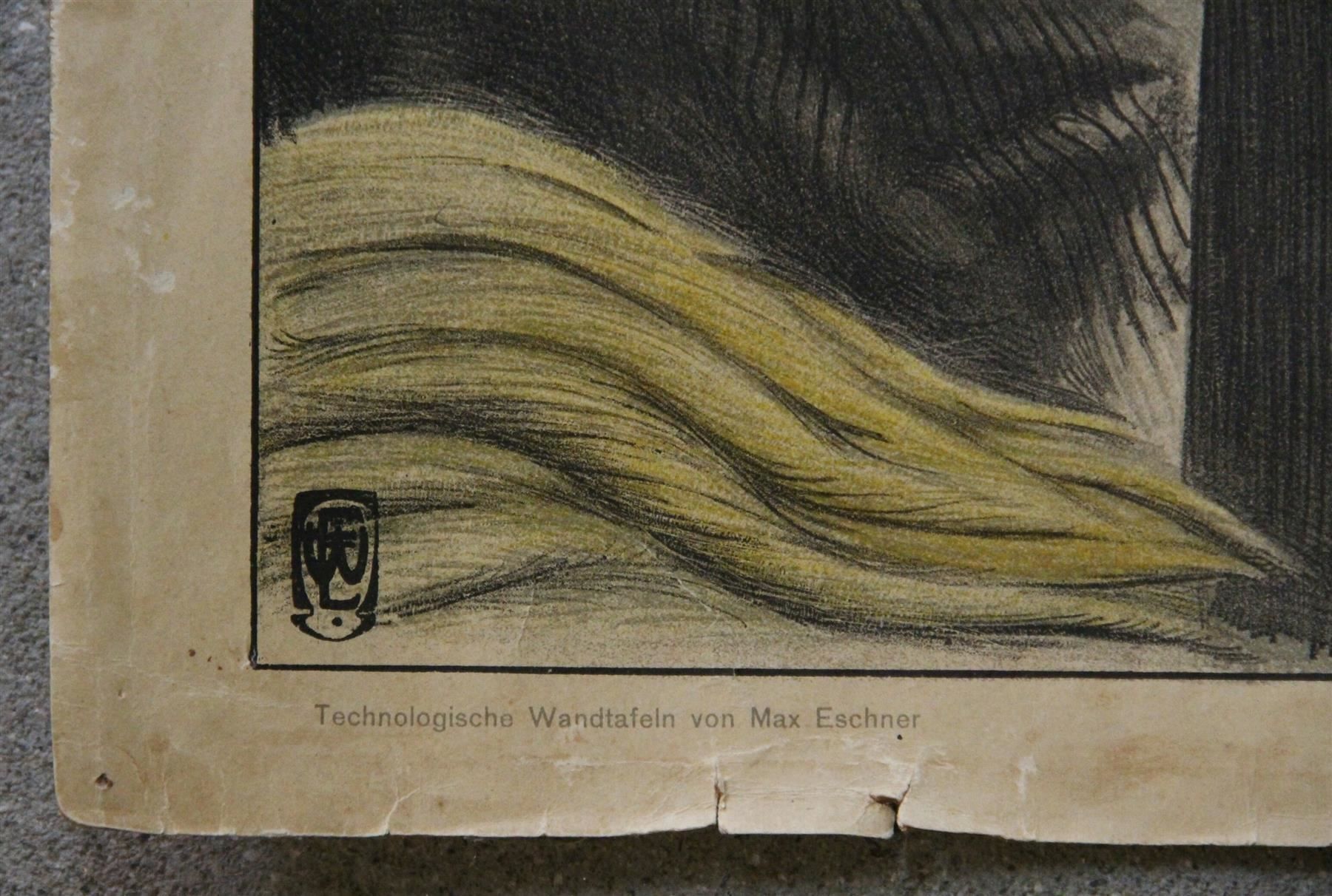 Foto & Immagini: Schulwandbild "Bearbeitung des Flachses" – Usato da Birrwil venduto da brandschatz_birrwil 6