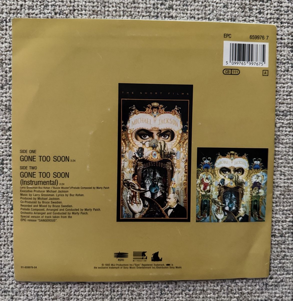 Dischi in vinile: Michael Jackson - Gone Too Soon - 7" Single - 90s – Usato da Rorbas venduto da BlackstarRecords 1