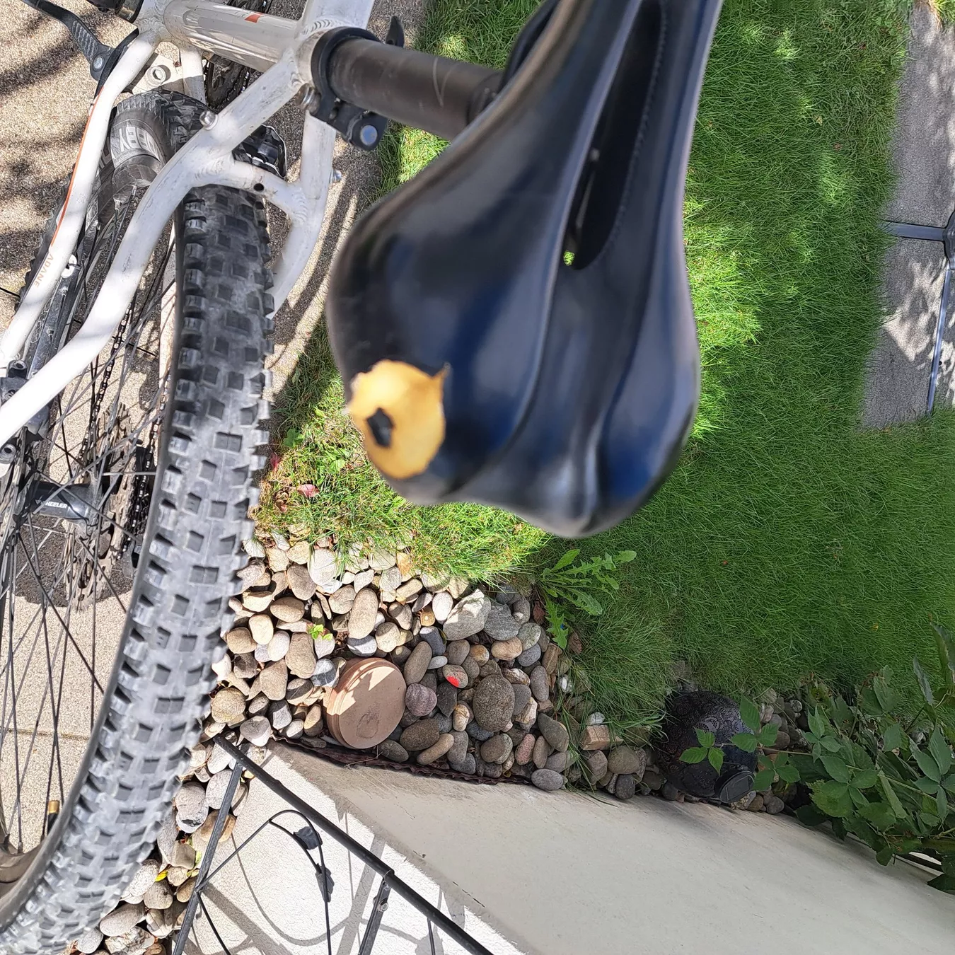 Wheeler Biciclette: Velo – Usato da Unterentfelden venduto da Miro-Lou 8