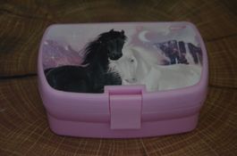 BOITE A PIC NIC