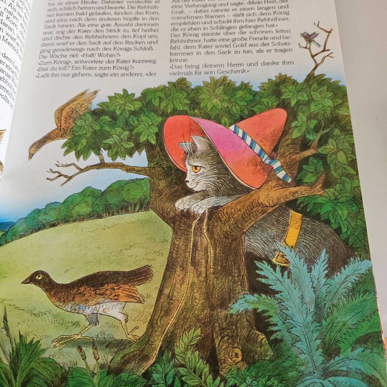 Libri: Märchen  Schatz – Usato da Uster venduto da Sonnenblume212 6