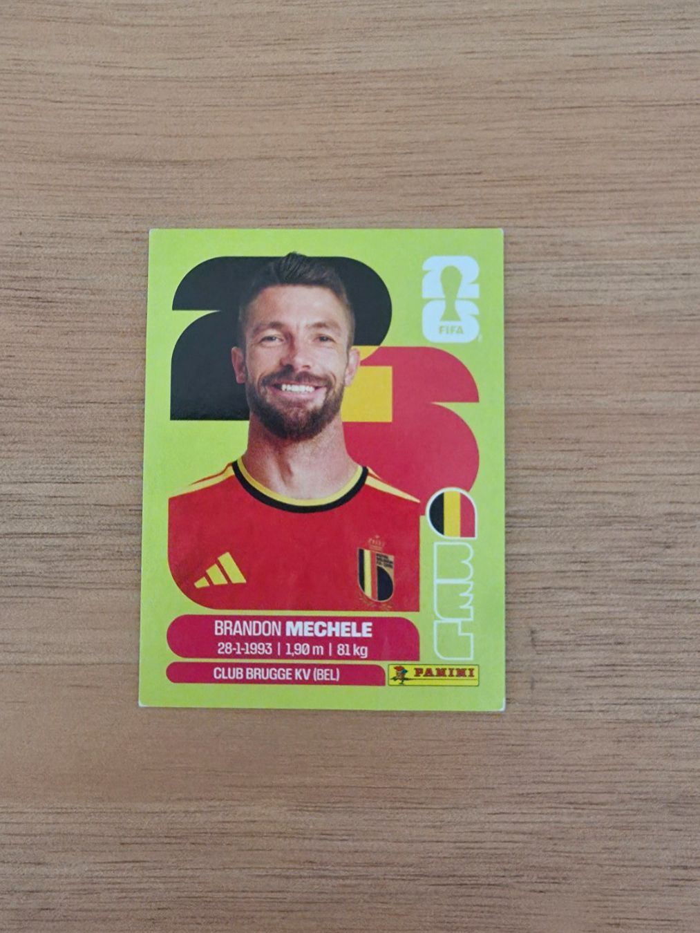 Panini Carte collezionabili: Panini Fifa BEL 6 – Usato da Malters venduto da mat_6102