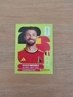 Panini Fifa BEL 6
