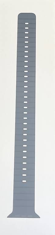 Bracciali & Braccialetti: Apple Watch Ocean Band Extension  – Usato da Zürich venduto da igo_xz6f