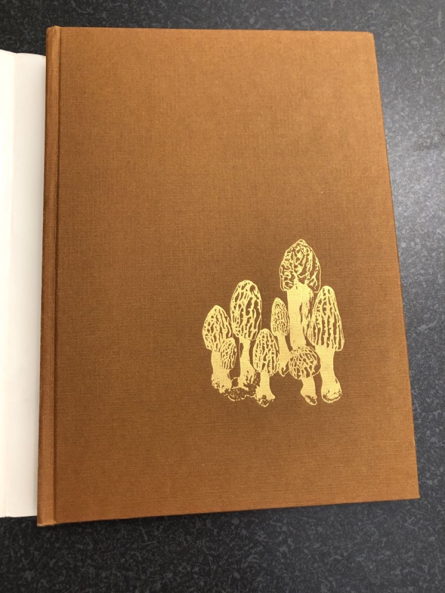 Libri: Pilze Buch Band 2 – Usato da Effretikon venduto da erbaeff 1