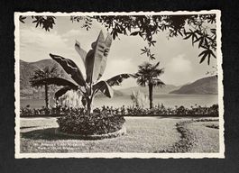 AK Brissago Park vom Hotel Brenscino