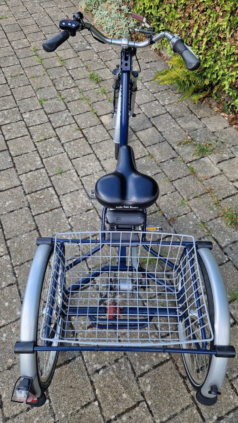 Veicoli elettrici: Elektro 3 Rad Velo – Usato da Seengen venduto da Pfoesu07 2