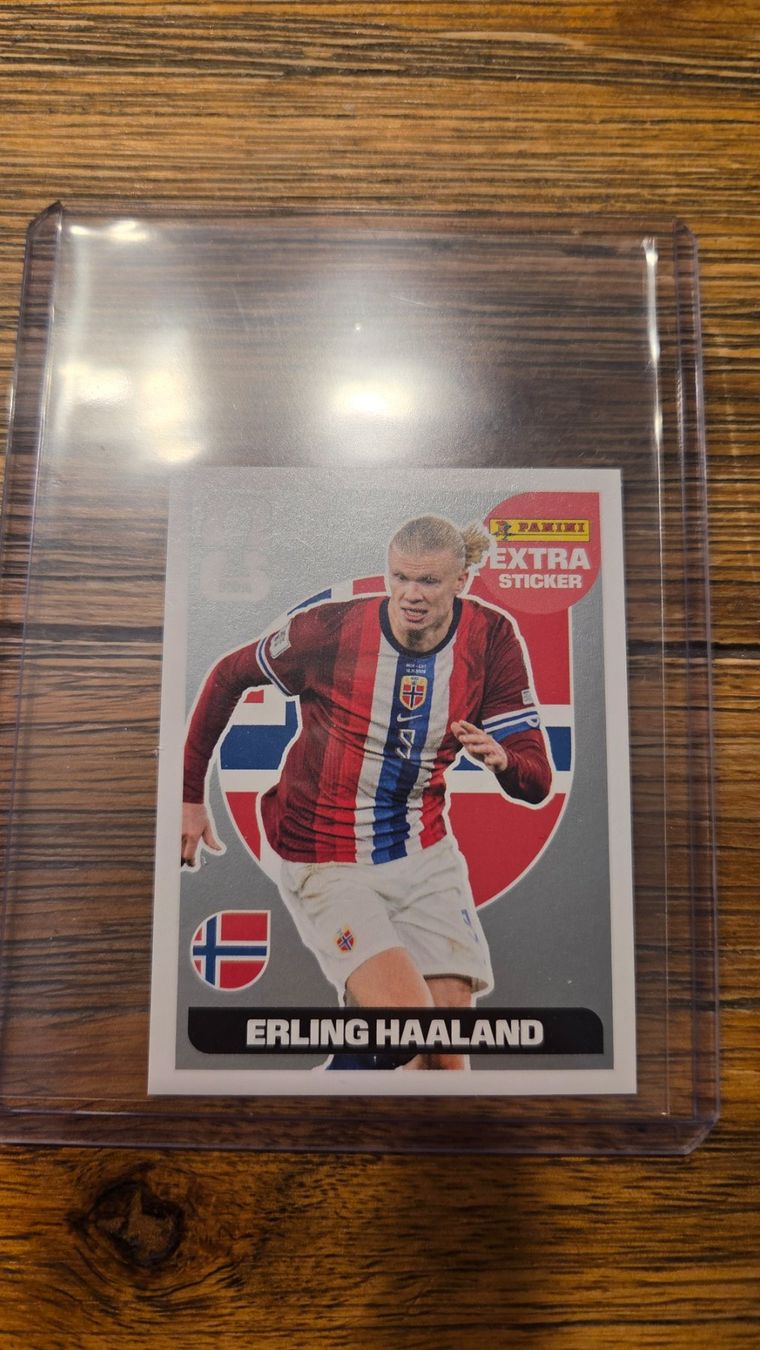 Panini Carte collezionabili: Panini Haaland Extra Sticker Silber PERFEKT ab 1.- – Nuovo e nell'imballaggio originale da Erlinsbach venduto da realcollector