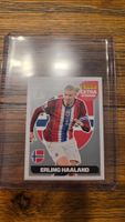 Panini Haaland Extra Sticker Silber PERFEKT ab 1.-