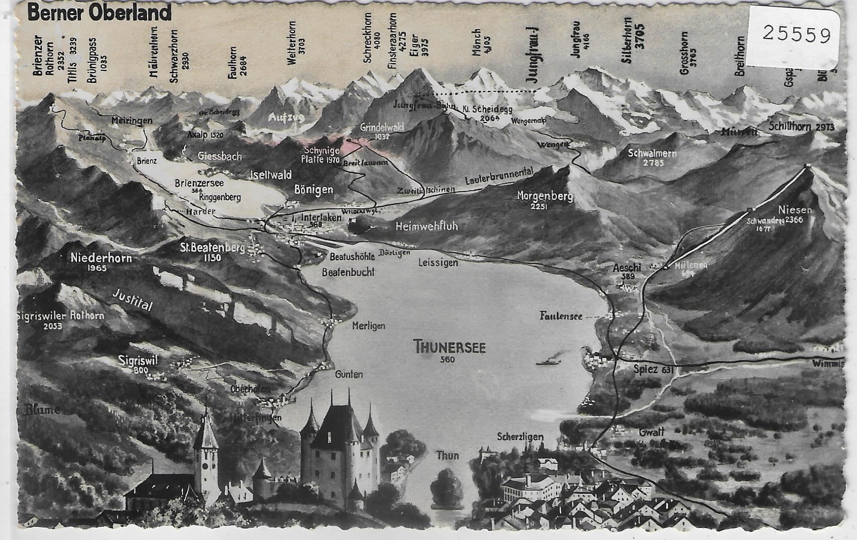 Cartine & Atlanti: Panorama Berner Oberland - Thunersee – Antico da Ettingen venduto da Kartenplanet