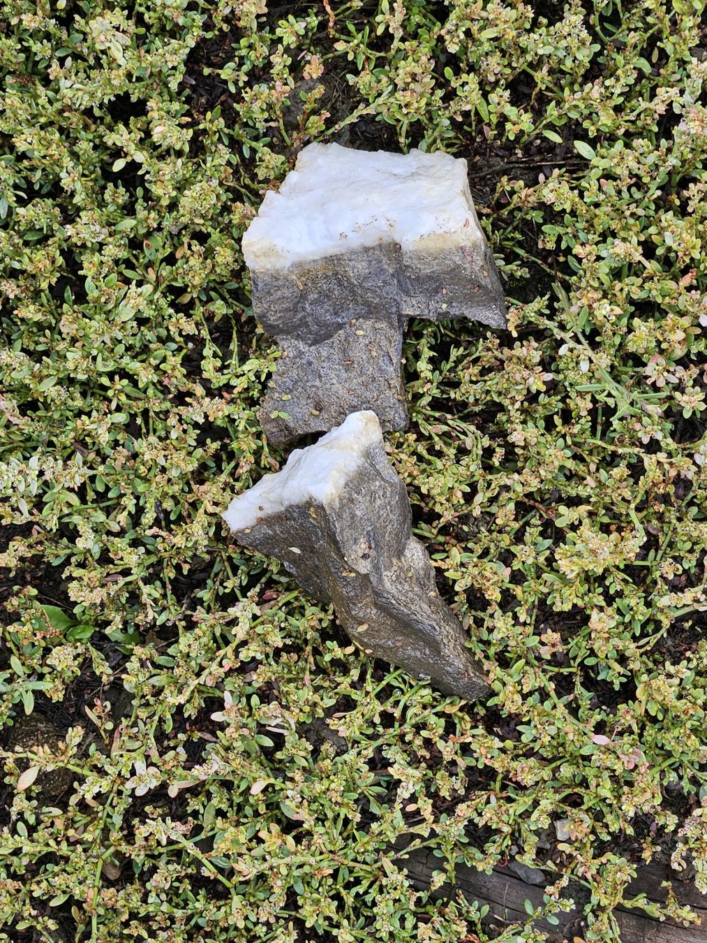 Edelsteine: Pierre carbonate métamorphisée / Valais – Gebraucht aus Sion von jol_558w 3