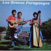Los Bravos Paraguayos Rare Swiss Pressing Signed LP Vinyl