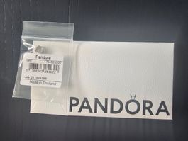 Pandora Charms Mini "Unendlichkeit" 925 Silber 💍 Neu & OVP