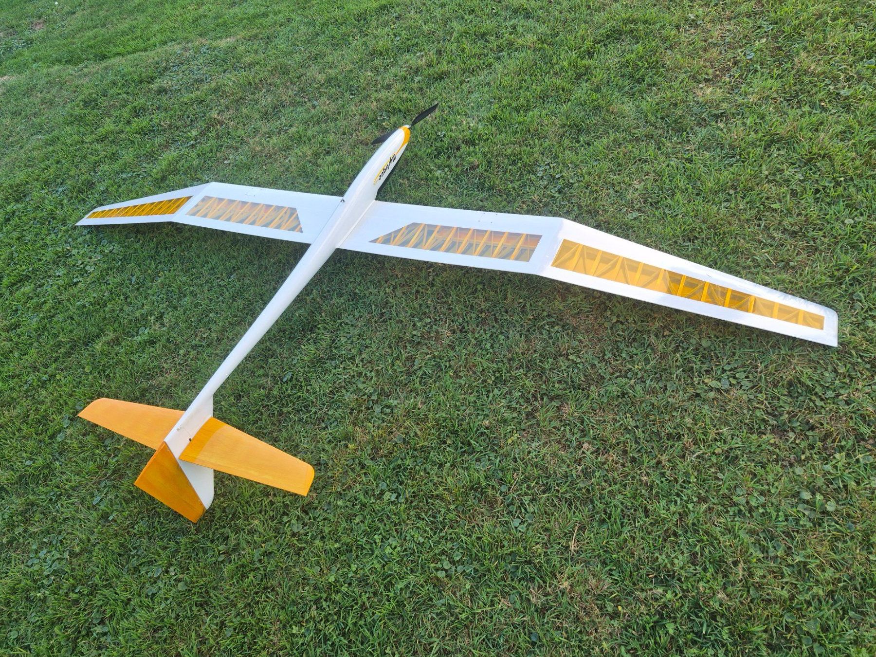 E-Flite RC Modellbau: Mystique 2.9 RES – Gebraucht aus Oberriet SG von eri_h879 4