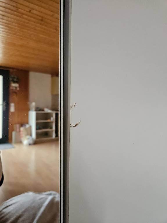 Armadi: Wohnzimmer Schrank  – Usato da Buchberg venduto da sta_5jph 3