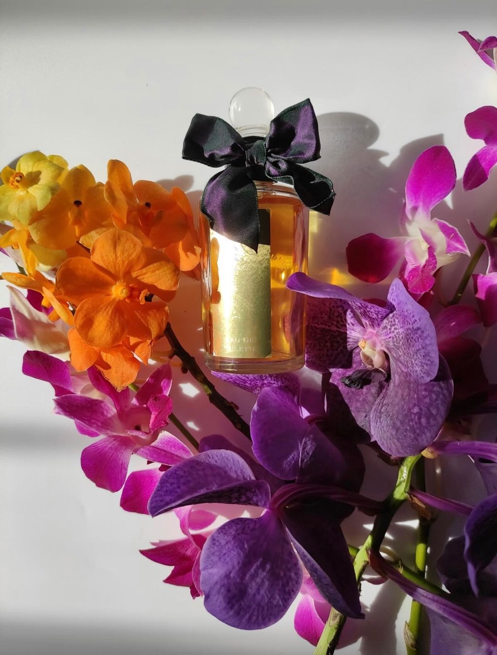 Penhaligon's Profumi & Eau de Toilette: Cornubia by Penhaligon's   12 ml sample – Nuovo (secondo la descrizione) da Chêne-Bougeries venduto da Seetooyoo 4