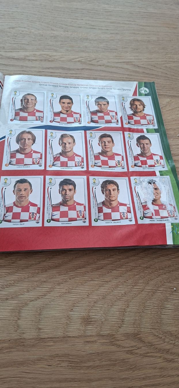 Panini Album: WM 2014 Panini Album vollständig – Usato da Buchs ZH venduto da GRE_11 6