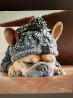 Hunde Mütze grau weiss mit Bommel neu