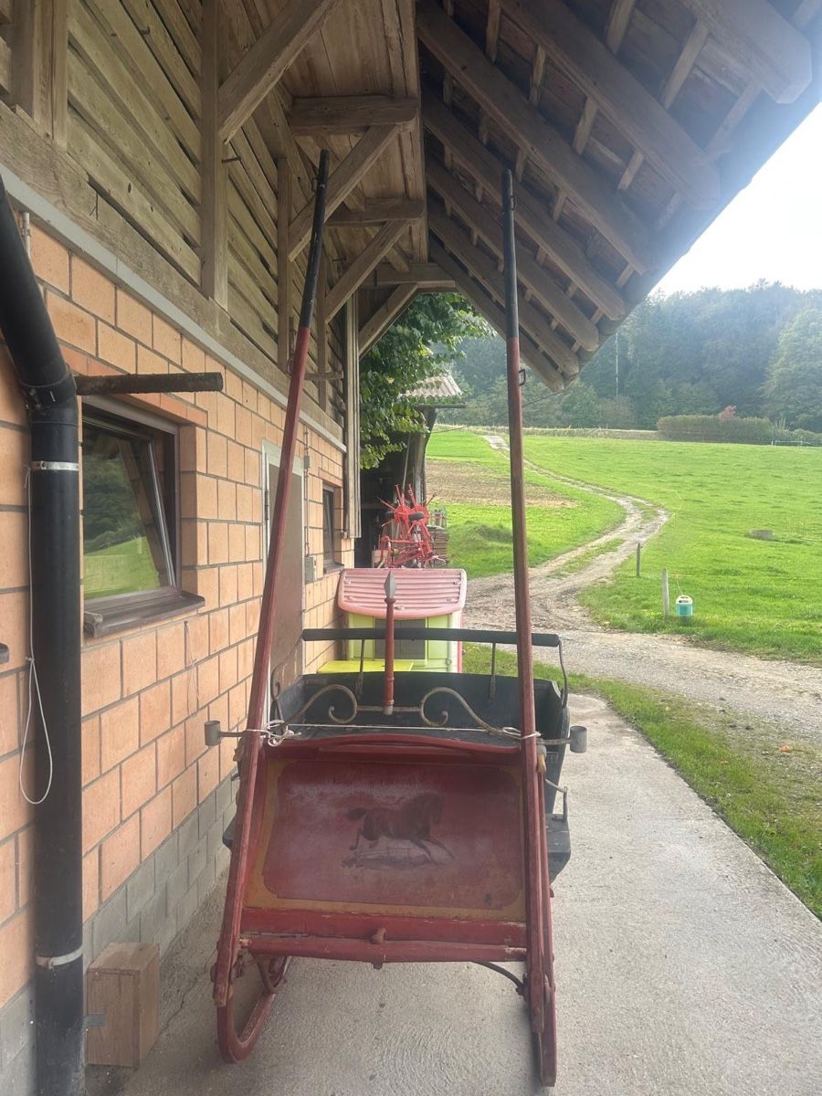 Schlitteln: Andiker Pferdeschlitten – Gebraucht aus Mühlethurnen von oberfeld126 1