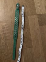 Grünes Hunde Halsband