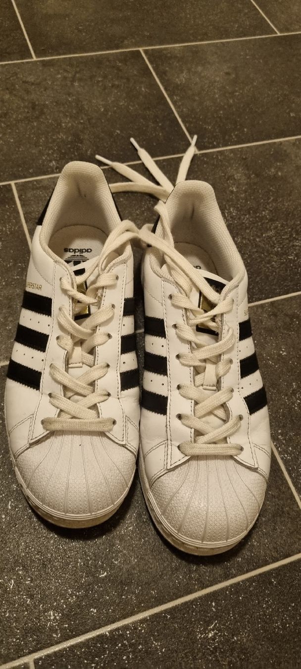 Adidas Chaussures femmes: Adidas Superstar, Grösse 38 2/3 – Neuf (Voir description) à Gattikon par myartshop