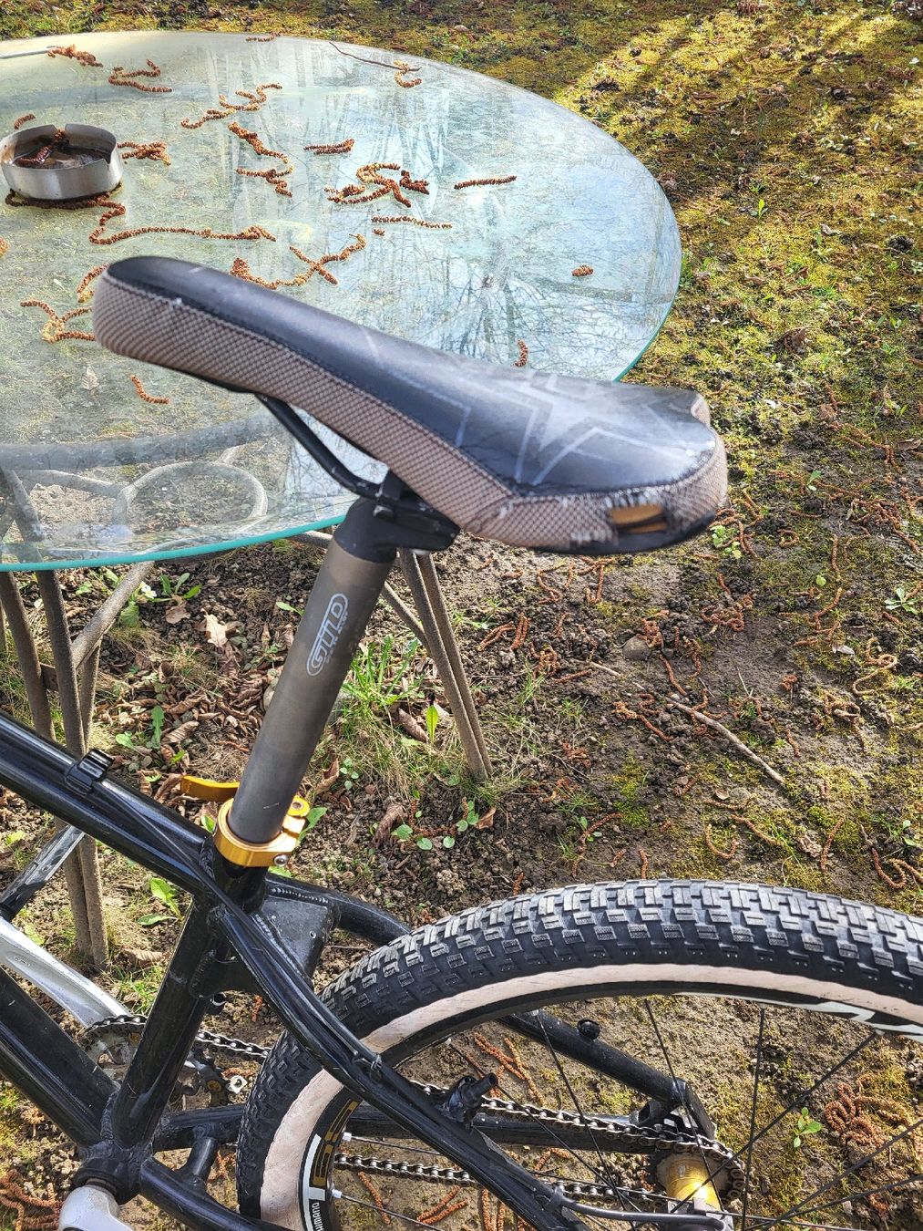 Velos: Dirt Jump / MTB Fahrrad – Gebraucht aus Kreuzlingen von JP_1308 3