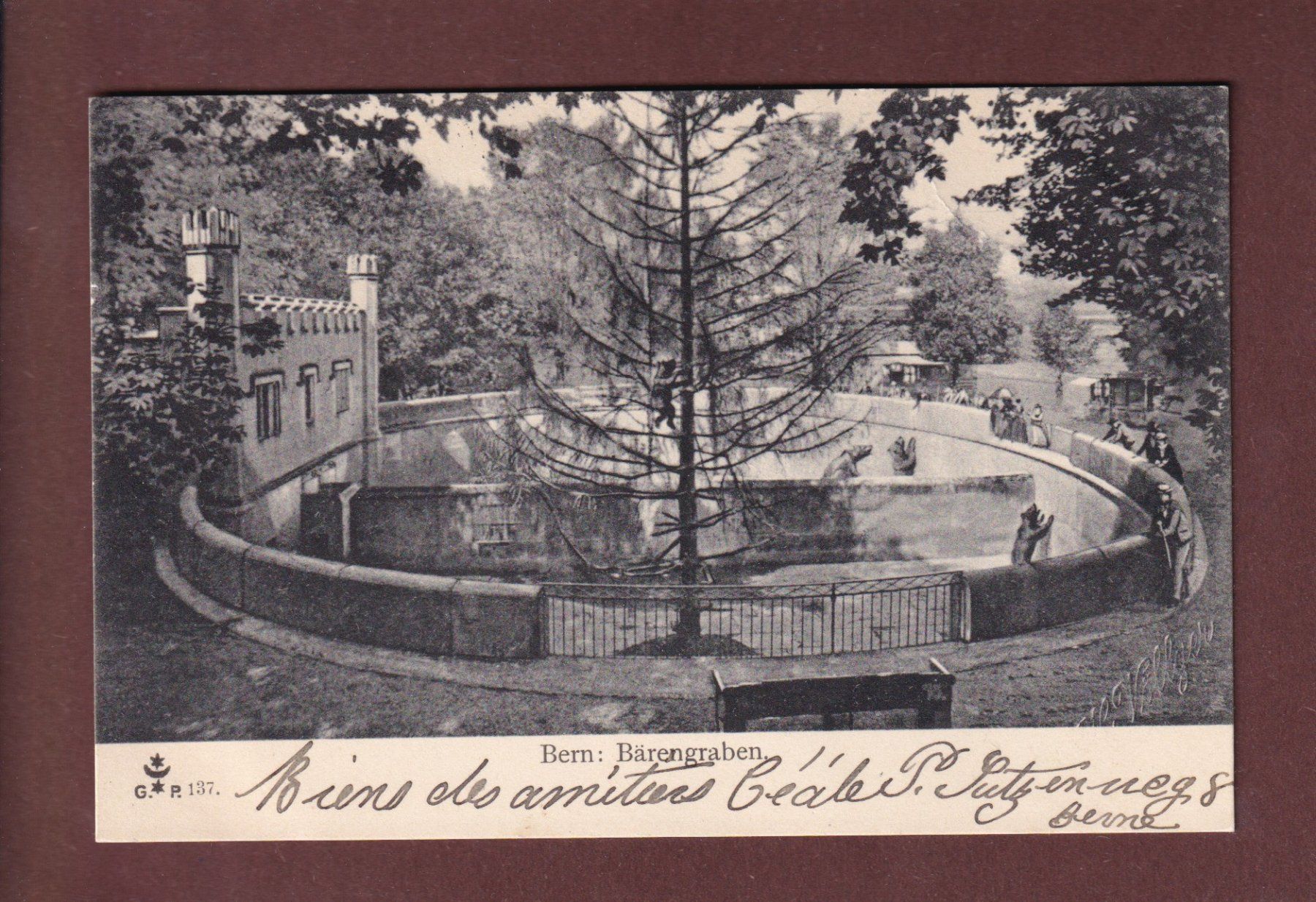 Cartoline postali: BERN - Bärengraben - 1903 – Usato da Pully venduto da nicecards-shop
