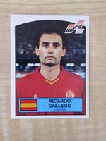 Panini Euro 1988 Einzelsticker Nr. 143
