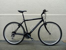 Velo / Fahrrad / Citybike / Author Triumph