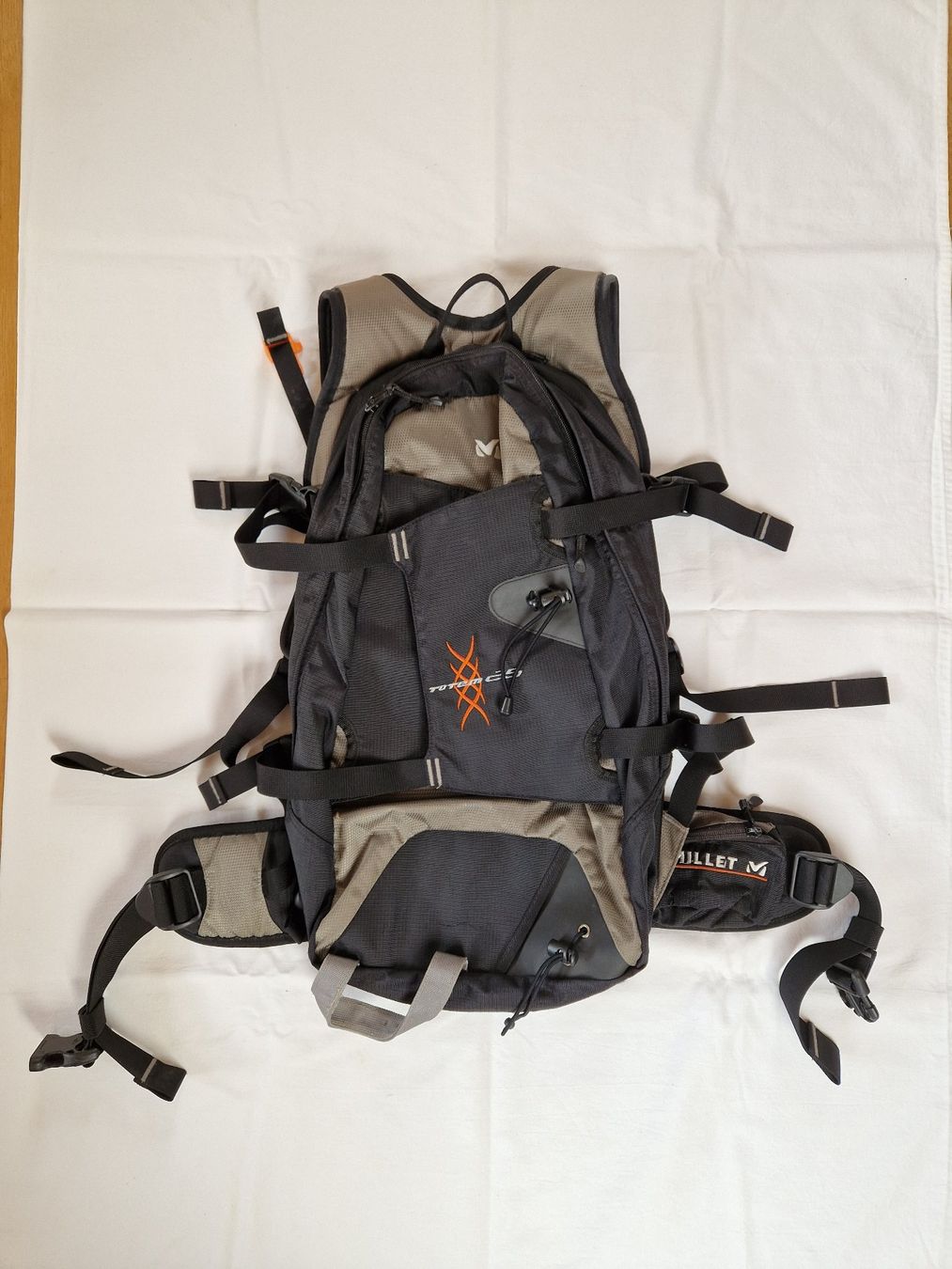 Millet Rucksäcke: Millet Rucksack Totem 25 L – Gebraucht aus Hilterfingen von Housi32