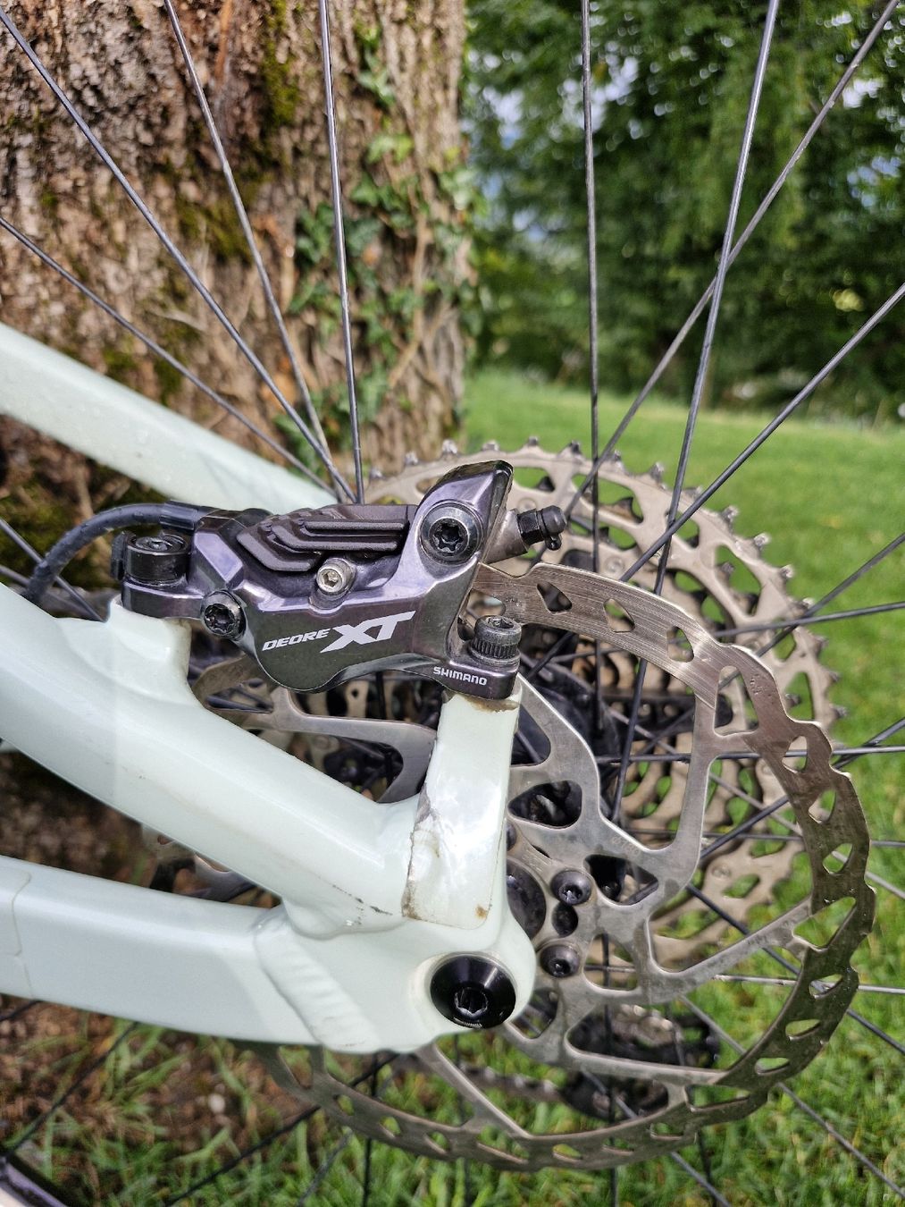 Focus Biciclette: Focus Jam 6.9- Grösse S - 2022 – Usato da Altstätten SG venduto da mai_6ybt 3