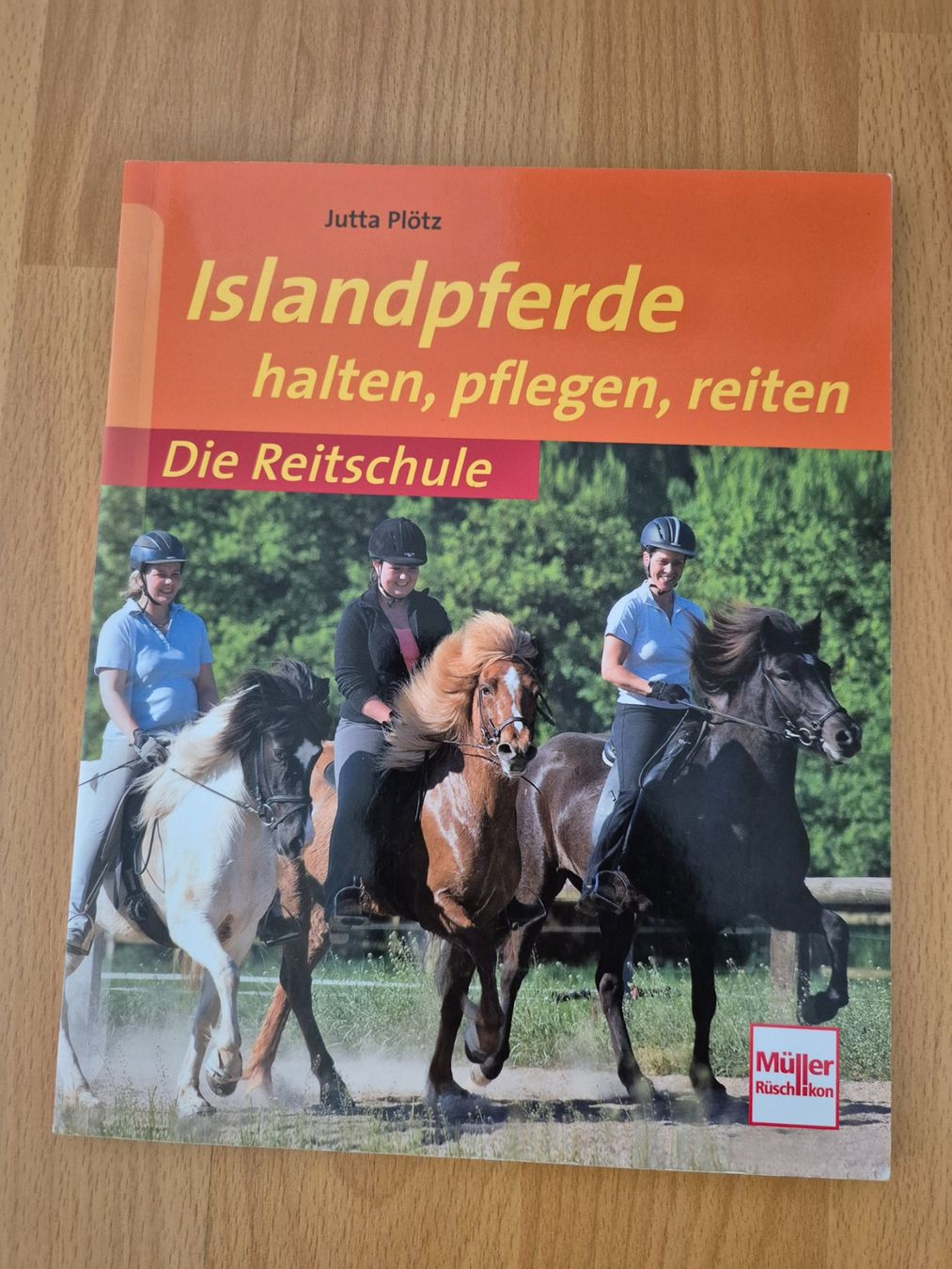 Zaumzeug & Halfter: Pferdefachbuch – Gebraucht aus Meggen von Orrinka20