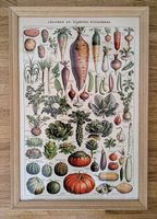 Affiche Poster Légumes & Plantes potagères