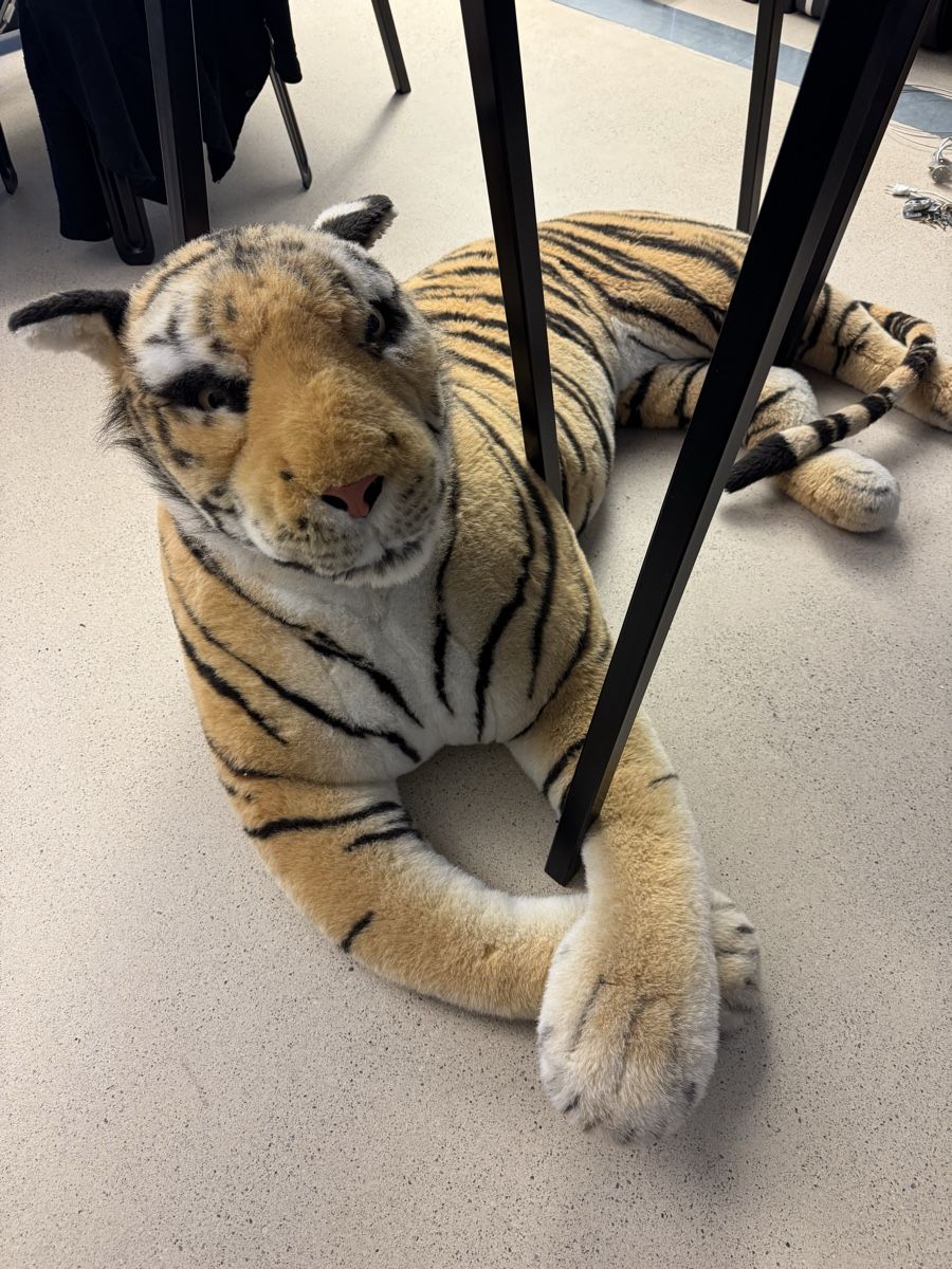 Statuette: Plüsch Tiger XXL – Usato da Zürich venduto da VZN