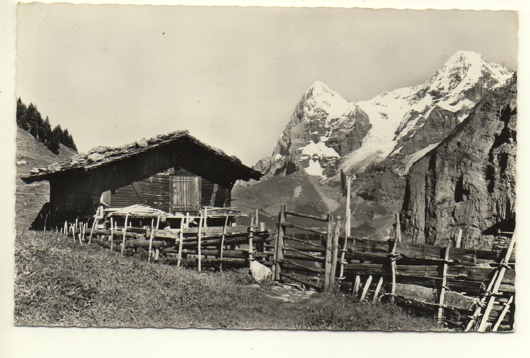 Ansichtskarten: MÜRREN Alphütte - Mönch, Eiger – Gebraucht aus Jona von philajona