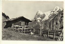 MÜRREN Alphütte - Mönch, Eiger