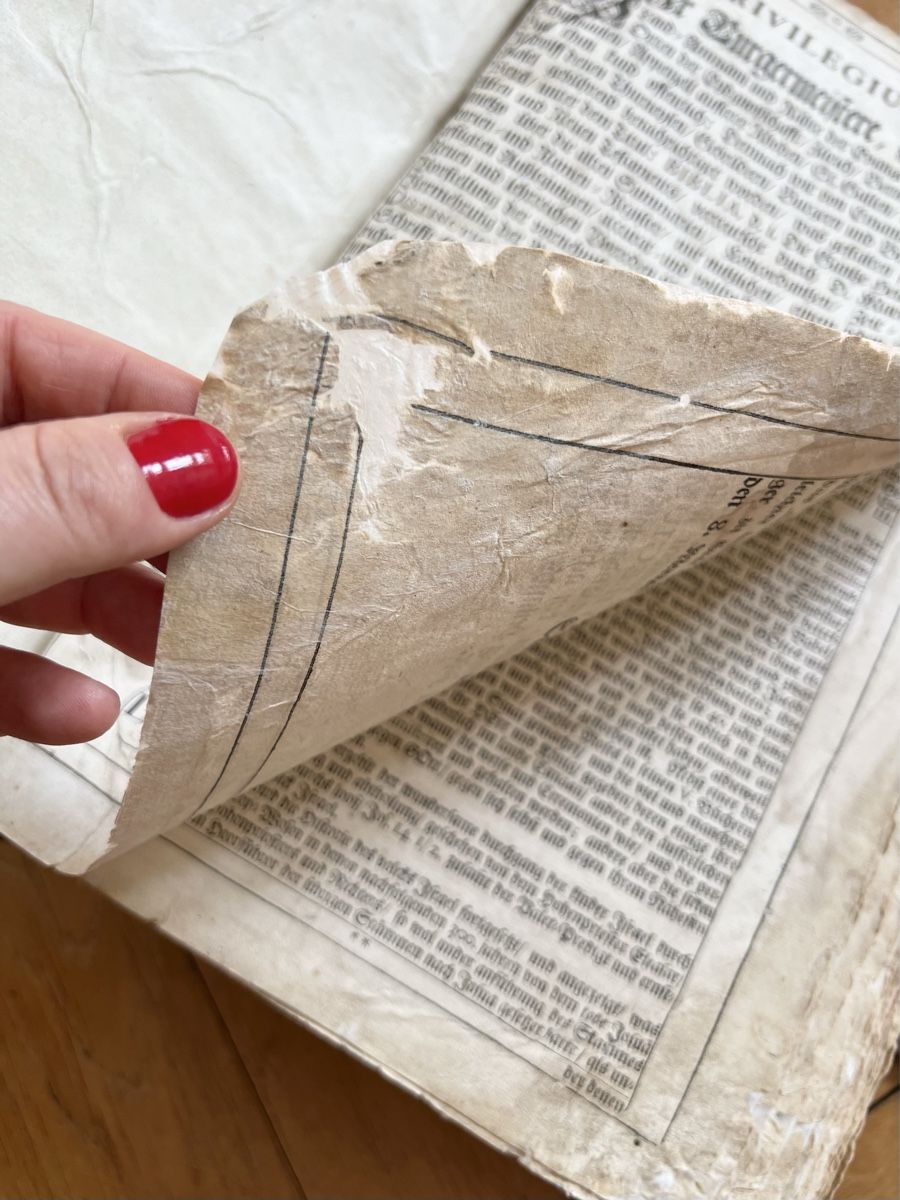 Libri: Luther – Bibel 1720 – Usato da Bern venduto da zanie 3