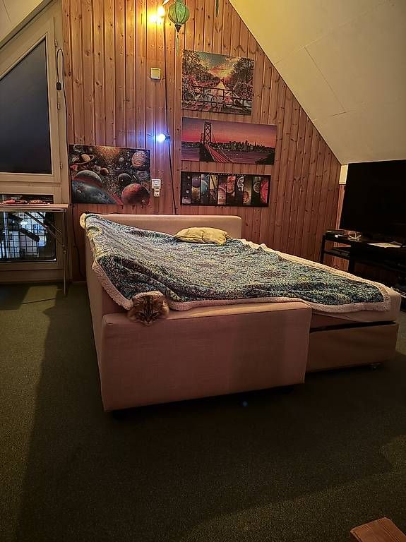 Sofas: IKEA FRIHETEN Schlafsofa – D'occasion à Dübendorf par stoiran 1