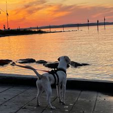 Profile image of Thelittlemisstina