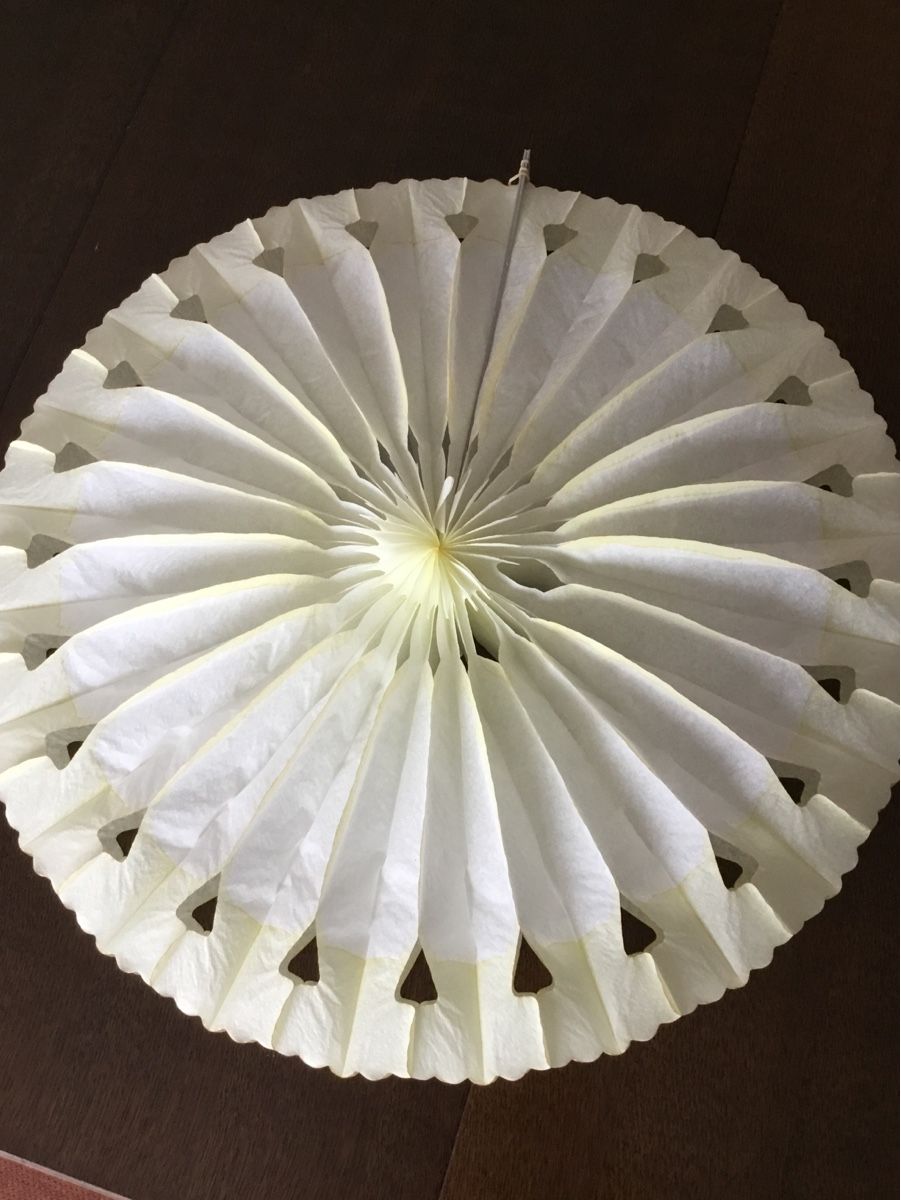 Tutte le decorazioni: Dekoblumen aus Seidenpapier – Usato da Uitikon-Waldegg venduto da Dmelchionna 1