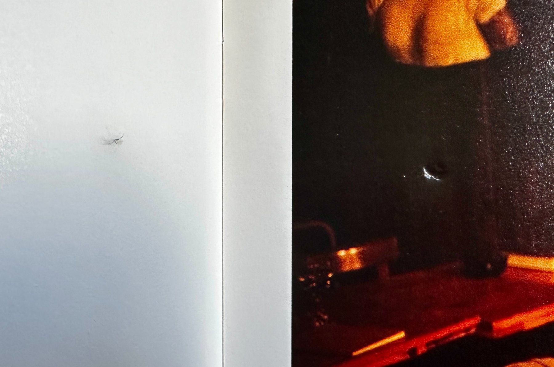 Libri: Nan Goldin: Cookie Mueller. – Usato da Zürich venduto da allp 4