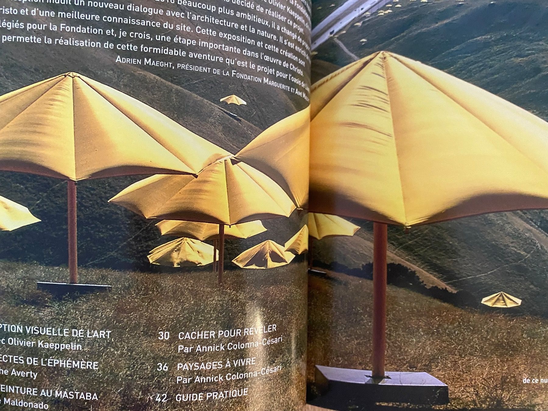 Libri: CHRISTO & JEANNE-CLAUDE. – Usato da Zürich venduto da lesgarcons 1